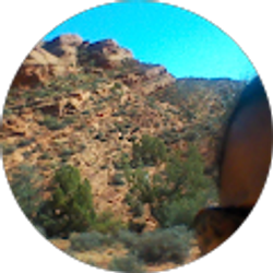 Profile photo of T Jones