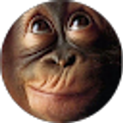 Profile photo of William Clement