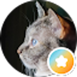 Profile photo of Patty Donnici