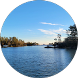 Profile photo of Penny Morgan