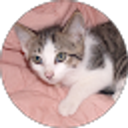 Profile photo of Margie Taulbee