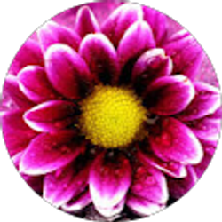 Profile photo of Megan Gilmore