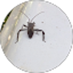 Profile photo of DayjobLuke “fellonmyfeet”