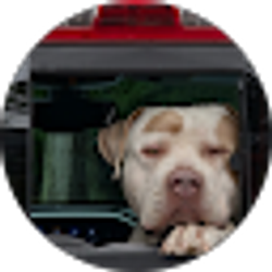 Profile photo of Antonio Mendez