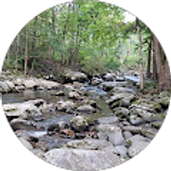 Profile photo of Emily Rust