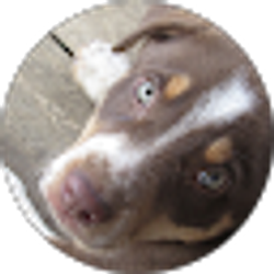 Profile photo of Destaney Johns