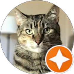 Profile photo of Wendy Robles