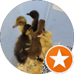 Profile photo of Megan Armstrong