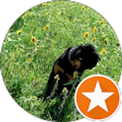 Profile photo of Shannon Manzo