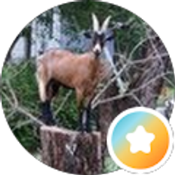 Profile photo of Laura Wilson