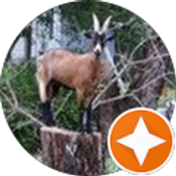 Profile photo of Laura Wilson