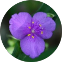 Profile photo of Deb Kroll