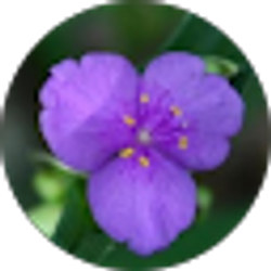 Profile photo of Deb Kroll