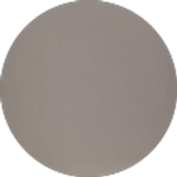 Profile photo of Marsha B