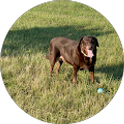 Profile photo of Dwayne James