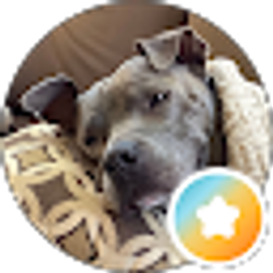 Profile photo of Joan B