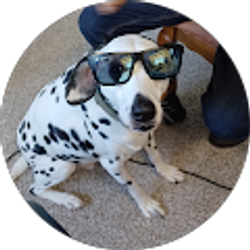 Profile photo of Cory Ortiz (Cory Ortiz)