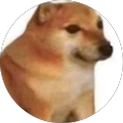 Profile photo of Daniel Ducu