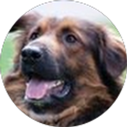 Profile photo of Stephen Lee Phillips