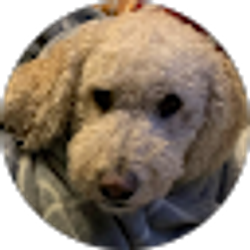 Profile photo of Jill Marker