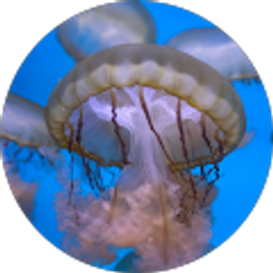 Profile photo of Taylor Foegen