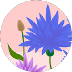 Profile photo of s kel