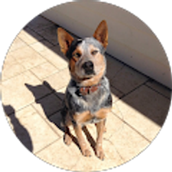 Profile photo of Jonathan Torres