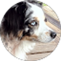 Profile photo of Tim Monroe