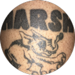 Profile photo of Harsh Riddims