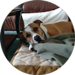 Profile photo of Kimberly K