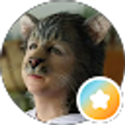 Profile photo of Lin Kerns