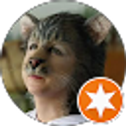 Profile photo of Lin Kerns