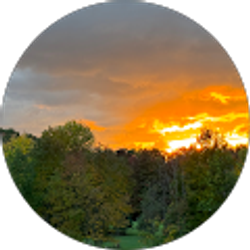 Profile photo of Stacey Wilson