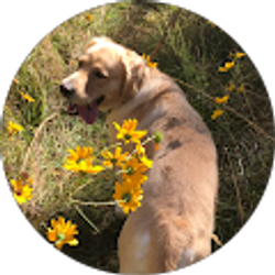 Profile photo of Boonedoggie