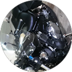 Profile photo of wilton jaysura