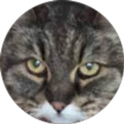 Profile photo of Paul Sellers