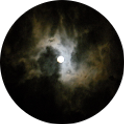 Profile photo of S R