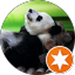 Profile photo of Steve Niemeyer