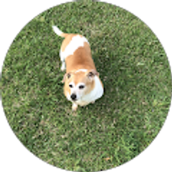 Profile photo of Reggie Lovorn