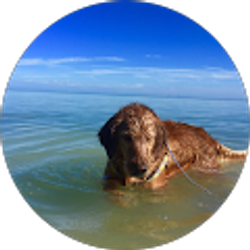 Profile photo of Jerry Torres-Velez