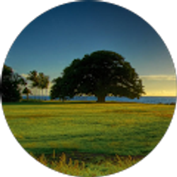 Profile photo of Shannon Reeder (Sassecraft)