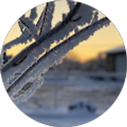 Profile photo of Kristin Klingebiel