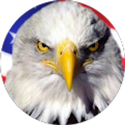Profile photo of rick american eagle services