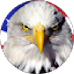 Profile photo of rick american eagle services