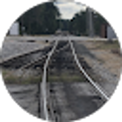 Profile photo of Railbug62