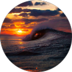 Profile photo of Sydney Gutsalyuk