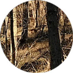 Profile photo of Kade Dunn