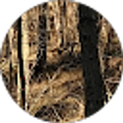 Profile photo of Kade Dunn