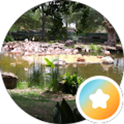 Profile photo of Gina Rose