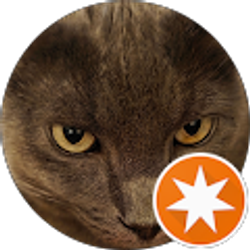 Profile photo of Danya D.